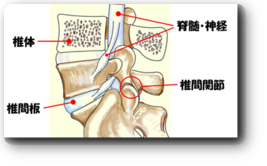 画像の説明 画像の説明