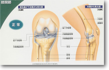 画像の説明 画像の説明